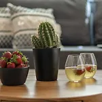 Naxos Finest Hotel&villas